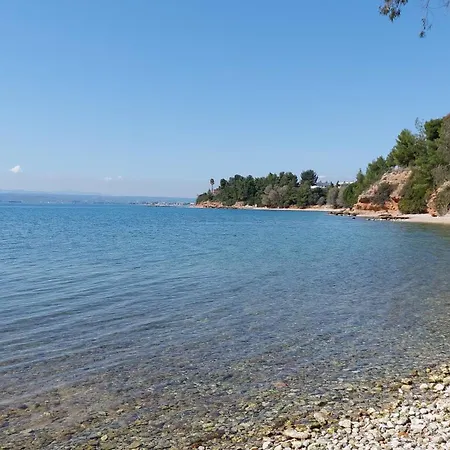Voula