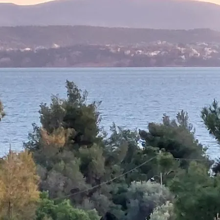Voula